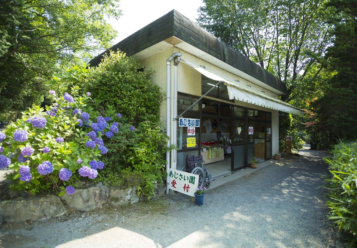あじさいの魔法