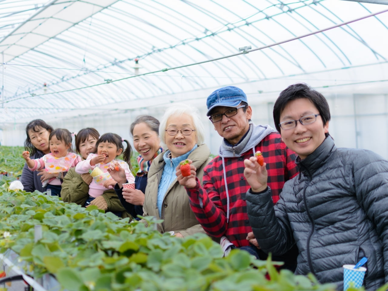天候を気にせず楽しめる