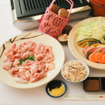 若鶏コース(BBQ)