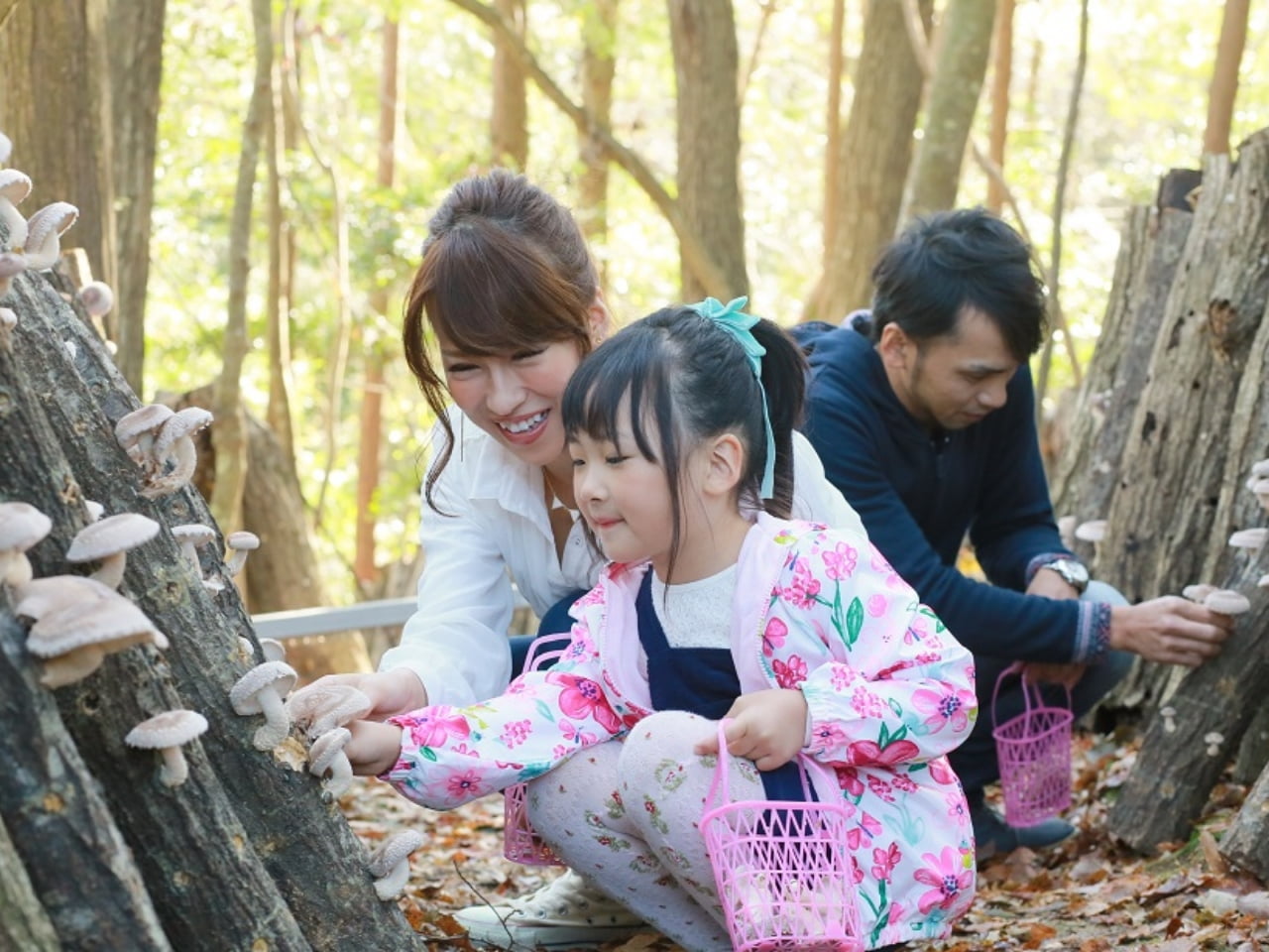 無農薬の自然栽培