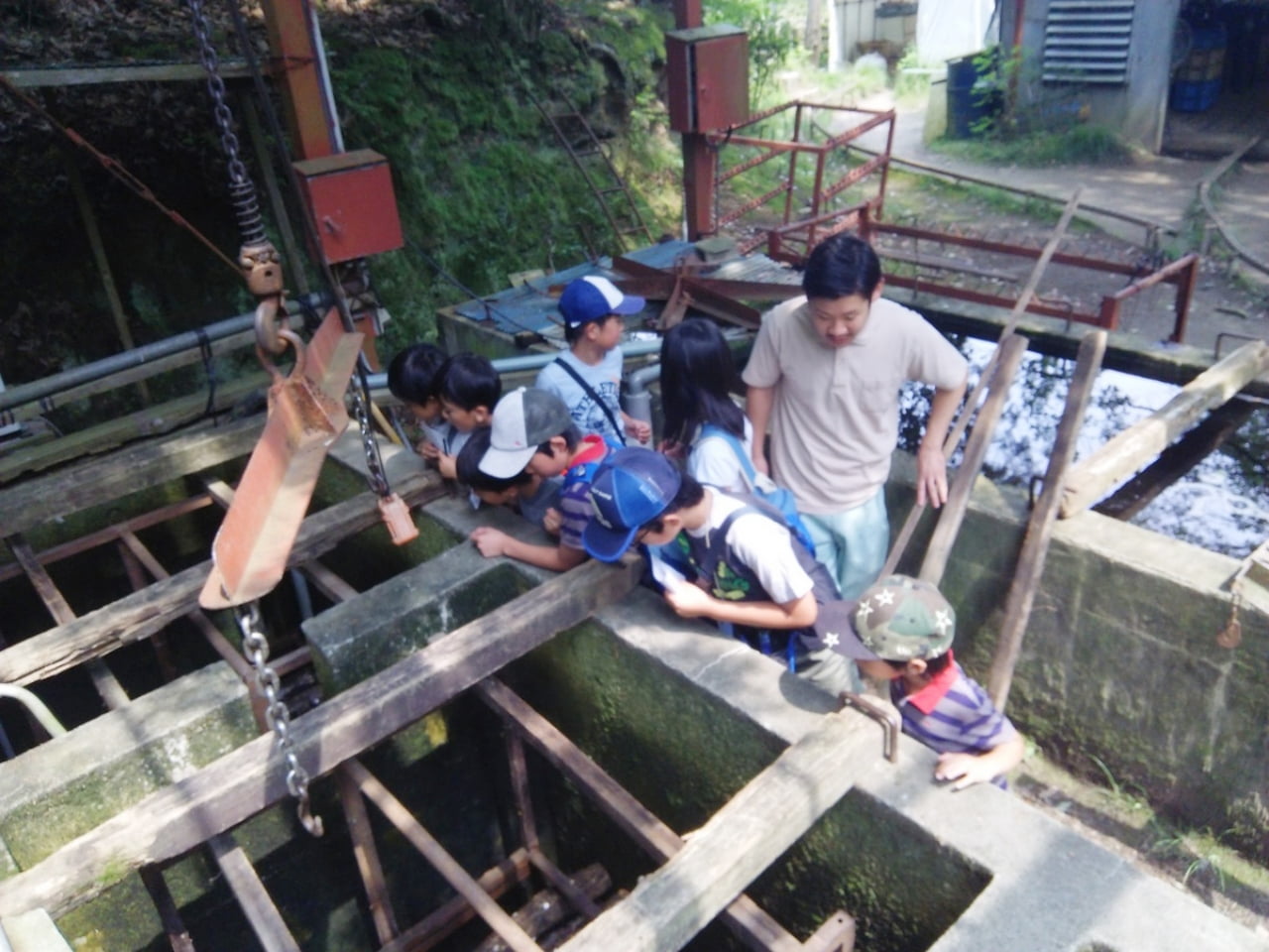 きのこマイスターが親切に指導