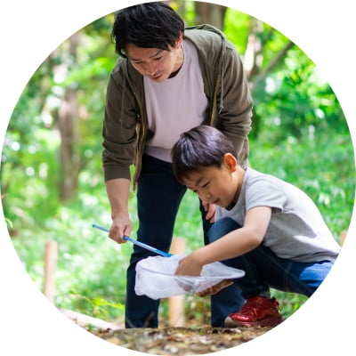 カブトムシ狩り