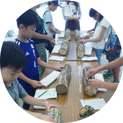 しい茸の食育体験