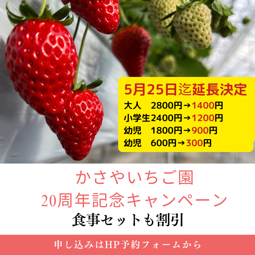 かさやいちご園20周年記念キャンペーン延長！