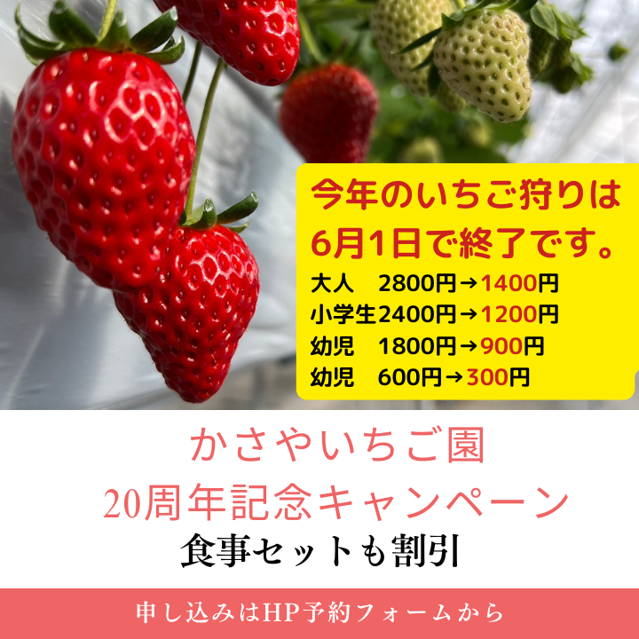 いちご狩りは6月1日で終了させていただきます!