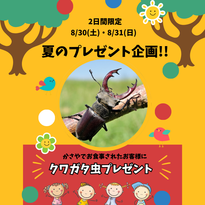 クワガタプレゼント企画！8月30日、31日限定！