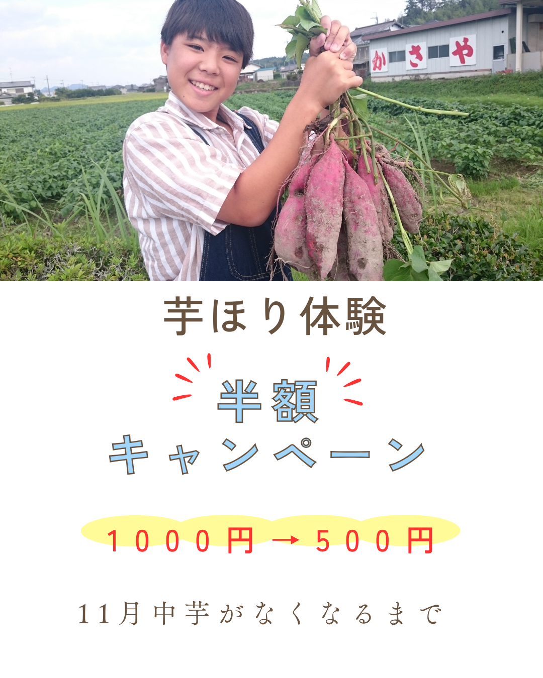 芋ほり体験半額キャンペーン開催中！！