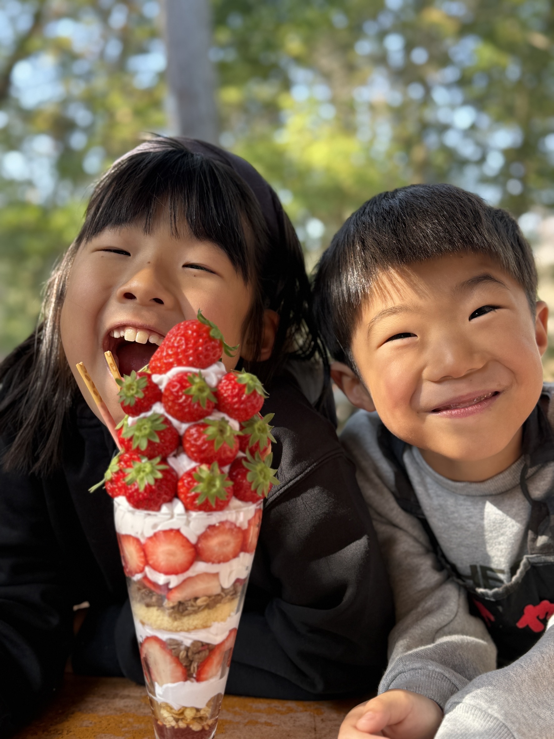 【新登場】三田いちごが山盛り！特大いちごパフェ🍓