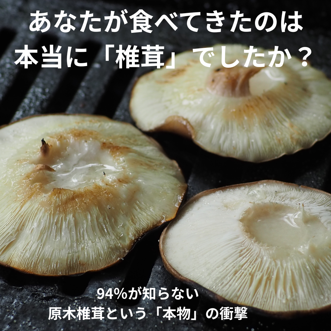 キッスプレスに掲載記事にしていただきました！